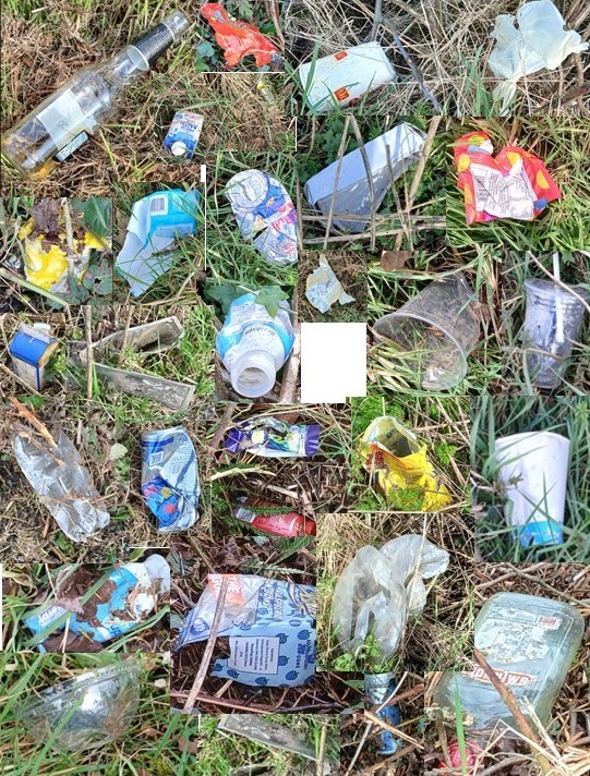 Litter 2026